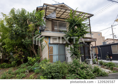 空置的房子周圍雜草叢生 空置的房子周圍雜草叢生 120926587