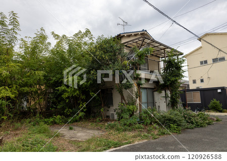 空置的房子周圍雜草叢生 120926588