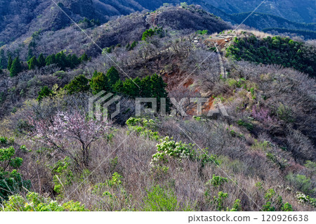 Spring traverse route overlooked from the Tanzawa Omote Ridge 120926638