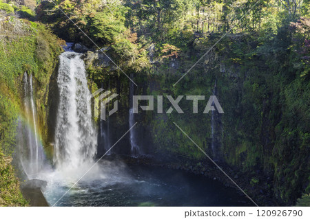 A rainbow over Otodome Falls, colored by autumn leaves, from Fujinomiya City 120926790
