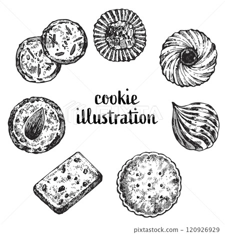 Illustration of various cookies Illustration of various cookies 120926929