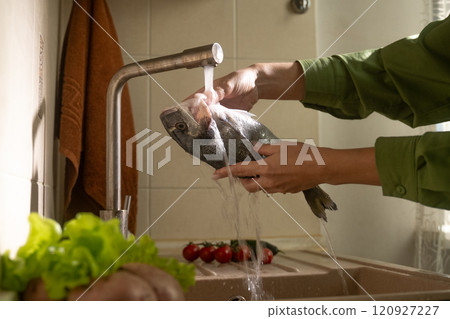 Washing dorado fish in a kitchen sink with fresh greens nearby Washing dorado fish in a kitchen sink with fresh greens nearby 120927227