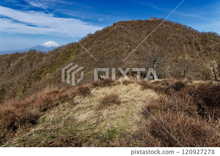 從丹澤表嶺看到早春的塔野嶽和富士山 從丹澤表嶺看到早春的塔野嶽和富士山 120927278