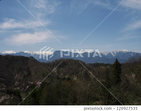 View of the Northern Alps from Rikugo Osenkyo Gorge with cherry blossoms in full bloom View of the Northern Alps from Rikugo Osenkyo Gorge with cherry blossoms in full bloom 120927535