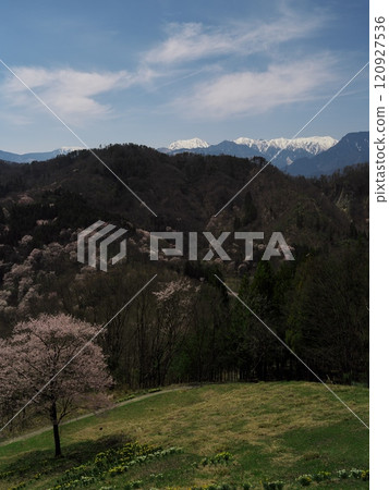櫻花盛開時,從六鄉櫻川峽谷眺望北阿爾卑斯山 櫻花盛開時,從六鄉櫻川峽谷眺望北阿爾卑斯山 120927536