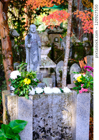 Autumn leaves at Jofukuji Temple, Kochi Autumn leaves at Jofukuji Temple, Kochi 120927550