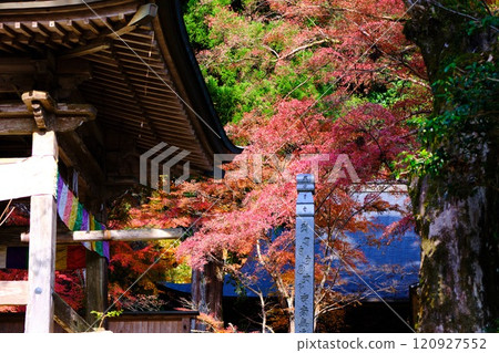 Autumn leaves at Jofukuji Temple, Kochi 120927552