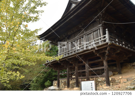 醍醐寺：銀杏和如意林堂【重要文化遺產】 120927706