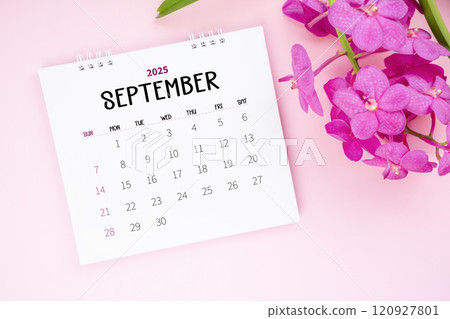 September 2025 desk calendar and pink orchid on pink color background. September 2025 desk calendar and pink orchid on pink color background. 120927801