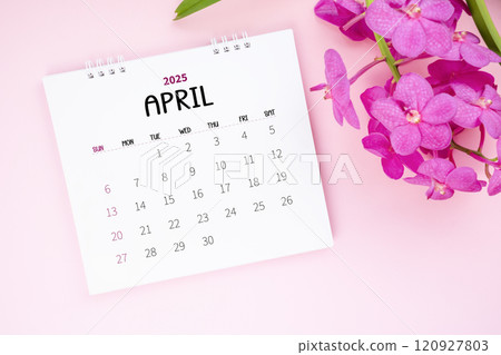 April 2025 desk calendar and pink orchid on pink color background. 120927803