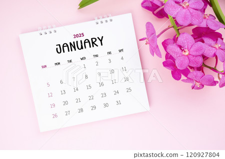 January 2025 desk calendar and pink orchid on pink color background. January 2025 desk calendar and pink orchid on pink color background. 120927804