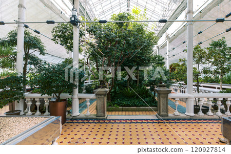 Vibrant corridor inside the Grand Greenhouse of Changgyeonggung Palace, Seoul, South Korea 120927814