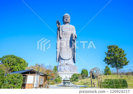 茨城縣牛久市秋天的牛久大佛 120928257