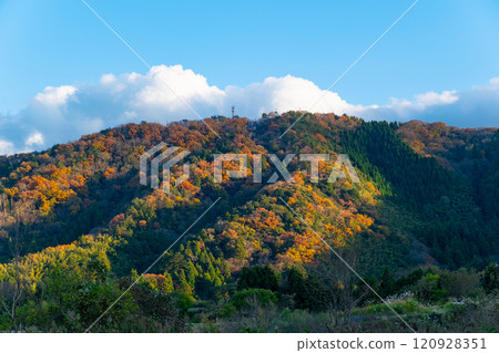 鳥取縣西白郡片堂山的紅葉 鳥取縣西白郡片堂山的紅葉 120928351