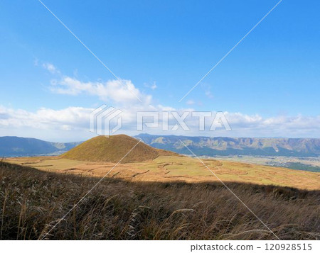 Winter rice mound (Aso region, Kumamoto Prefecture) 120928515