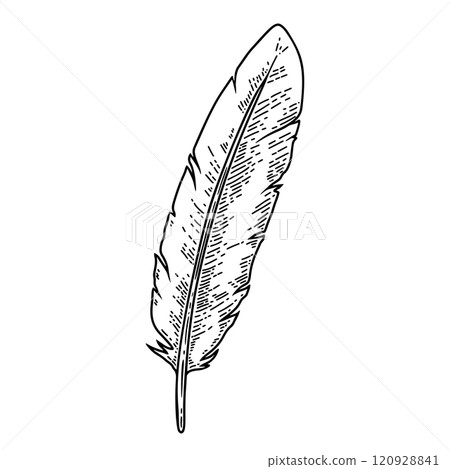 Illustration of old feather pen in engraving style. Design element for card, banner, menu. Vector illustration 120928841