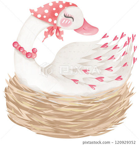 Swan sleeping in a straw nest, hand drawn watercolor 120929352