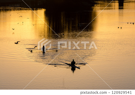 Racing boats practicing in the morning on the River Thames with the pre-dawn glow reflected in the sky at Kew Bridge, on the outskirts of London Racing boats practicing in the morning on the River Thames with the pre-dawn glow reflected in the sky at Kew Bridge, on the outskirts of London 120929541