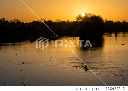 The River Thames reflecting the pre-dawn glow and a streetscape lined with winter trees and street lamps in Kew Bridge, a suburb of London The River Thames reflecting the pre-dawn glow and a streetscape lined with winter trees and street lamps in Kew Bridge, a suburb of London 120929542