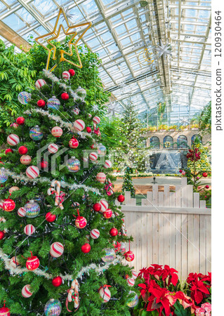 冬季濱松花卉公園、聖誕展<靜岡縣濱松市> 冬季濱松花卉公園、聖誕展<靜岡縣濱松市> 120930464