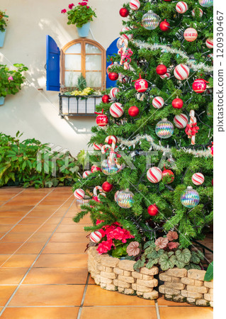 Hamamatsu Flower Park in winter, Christmas display (Hamamatsu City, Shizuoka Prefecture) 120930467
