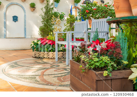 Hamamatsu Flower Park in winter, Christmas display (Hamamatsu City, Shizuoka Prefecture) 120930468