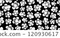 Flower pattern. Floral crayon childish brush seamless bg. Simple black chalkboard with abstract hand drawn flower. Background with white chalk floral print. Vector daisy illustration. Botanical crayon 120930617