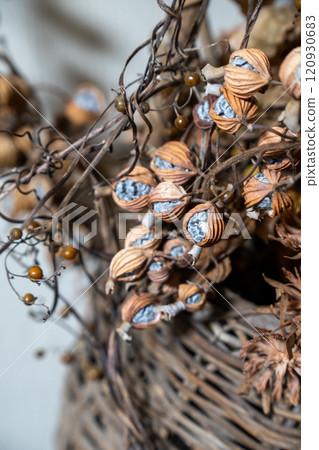 Dried shell ginger flowers arranged in a basket 120930683