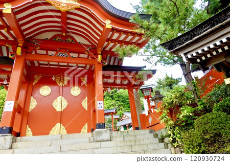 View of the main approach to Taikodani Inari Shrine, the shrine gate, Tsuwano Town, Kashima Prefecture View of the main approach to Taikodani Inari Shrine, the shrine gate, Tsuwano Town, Kashima Prefecture 120930724