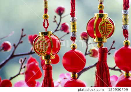 Outdoor view of Chinese New Year celebration Outdoor view of Chinese New Year celebration 120930799