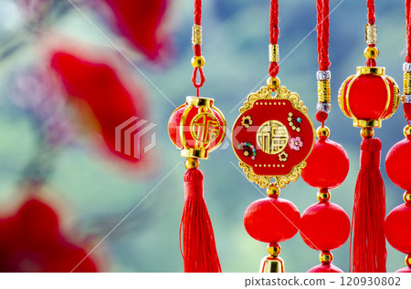 View of beautiful Chinese New Year decoration 120930802