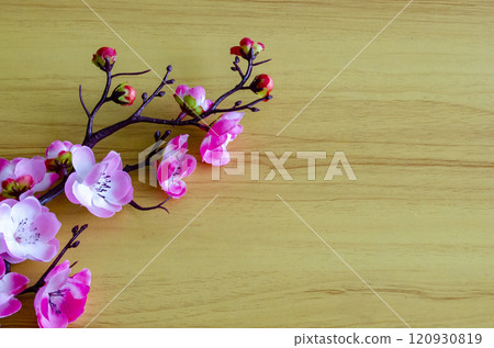 top view of pink flower representing Chinese New Year season with customizable space for text 120930819
