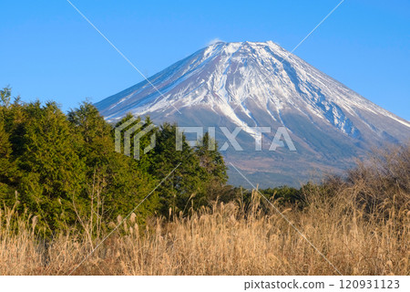 從靜岡縣富士宮市根原看到的富士山 從靜岡縣富士宮市根原看到的富士山 120931123