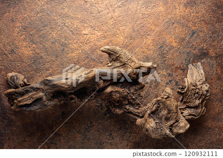 Dried wooden snags on the brown vintage background. Dried wooden snags on the brown vintage background. 120932111