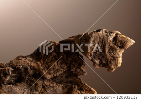 Dried wooden snag on a brown background. Dried wooden snag on a brown background. 120932112