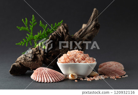 Pink himalayan salt with snags, green thuja branches, and seashells. Pink himalayan salt with snags, green thuja branches, and seashells. 120932116