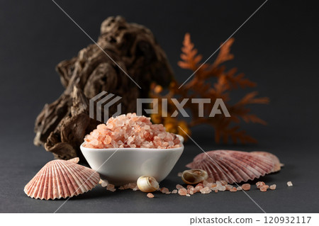 Pink himalayan salt with snags, thuja branches, and seashells. Pink himalayan salt with snags, thuja branches, and seashells. 120932117