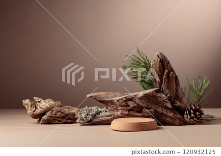 Abstract north nature scene with a composition of lichen, pine branches, and dry snags. 120932125