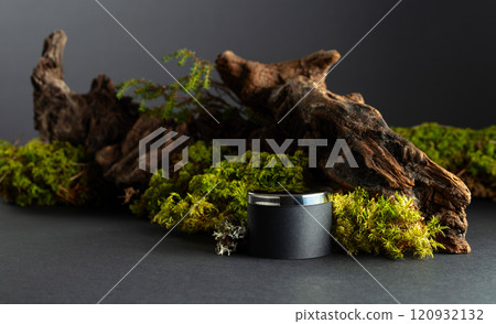 Abstract north nature composition and podium for your product. Abstract north nature composition and podium for your product. 120932132