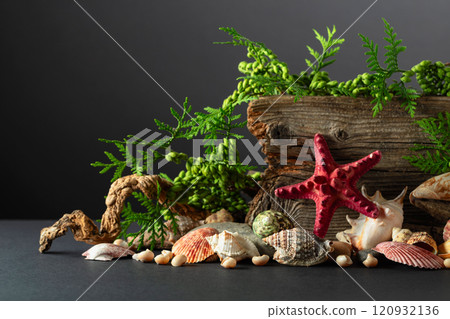 Abstract nature scene with a composition of seashell, starfish, green branches, and snags. Abstract nature scene with a composition of seashell, starfish, green branches, and snags. 120932136
