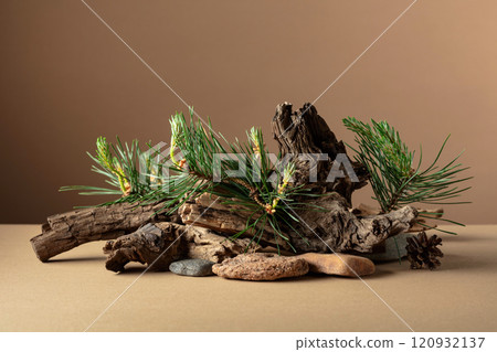 Abstract nature scene with a composition of pine branches, stones, and dry snags. Abstract nature scene with a composition of pine branches, stones, and dry snags. 120932137
