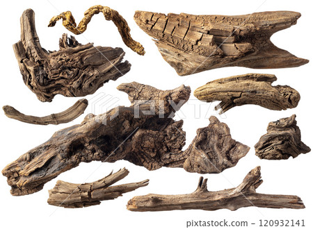 Set of snags for aquarium or decorative composition. 120932141