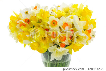 narcissus flowers in vase narcissus flowers in vase 120933235
