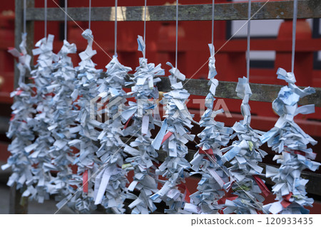 Omikuji paper strips at Enoshima shrine, Enoshima island, Fujisawa, Kanagawa prefecture, Japan. 120933435