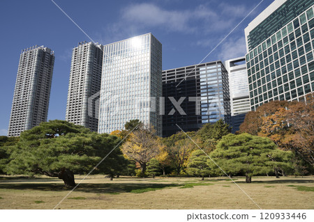 Japan, Tokyo, Hamarikyu Garden in momiji season. 120933446