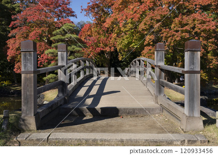 Japan, Tokyo, Hamarikyu Garden in momiji season. Japan, Tokyo, Hamarikyu Garden in momiji season. 120933456