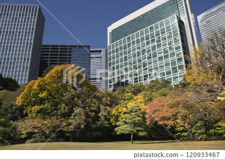 Japan, Tokyo, Hamarikyu Garden in momiji season. Japan, Tokyo, Hamarikyu Garden in momiji season. 120933467