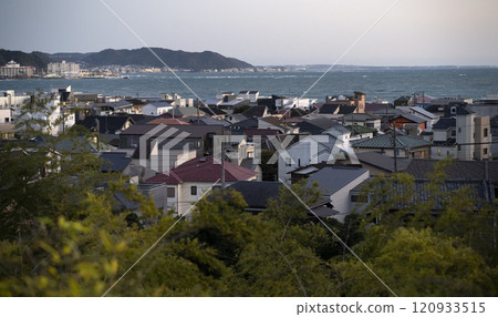 Hasedera Temple is one of the Buddhist temples in the city of Kamakura in Kanagawa Prefecture, Japan. Hasedera Temple is one of the Buddhist temples in the city of Kamakura in Kanagawa Prefecture, Japan. 120933515