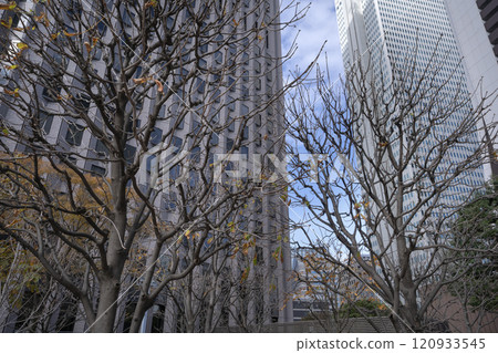 Street view of Shinjuku skyscrapers, Tokyo, Japan. Street view of Shinjuku skyscrapers, Tokyo, Japan. 120933545