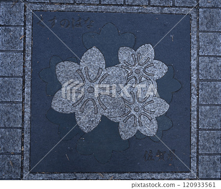 Paving slabs with a pattern in Tokyo, Japan. 120933561